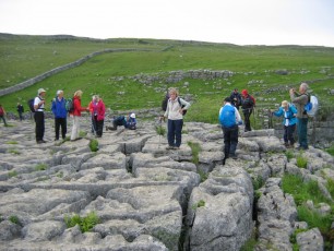 Yorkshire Dales 2011 - Limestone Pavement