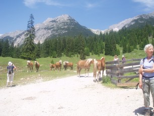 Austria 2012