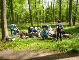 May 2015 - White Down Ranmore & North Downs