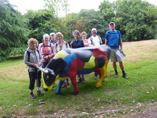 July 2015 - Blackheath, Shamley Green