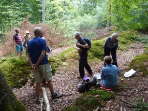 2015 07 19 Mapledurham