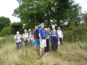 July 2015 - Mapledurham
