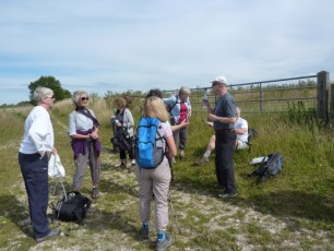 Aug 2015 - South Downs Cocking