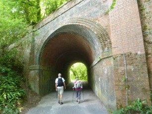 Aug 2015 - South Downs Cocking