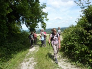 Aug 2015 - South Downs Cocking