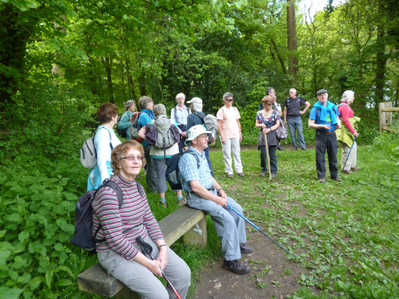 White Down Ranmore & North Downs - May 2015 