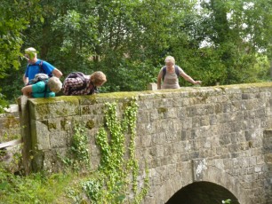 Petworth Park, River Lod - September 2014