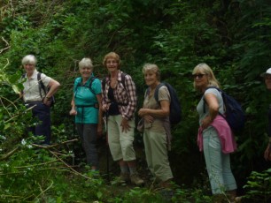 Petworth Park - September 2014