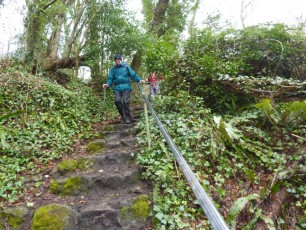 2015 - Isle of Wight