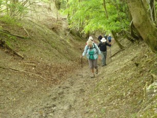 June 2015 - Smugglers Seven