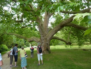 July 2015 - Audley House