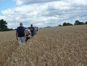 July 2015 - Mapledurham
