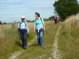 Aug 2015 - South Downs Cocking
