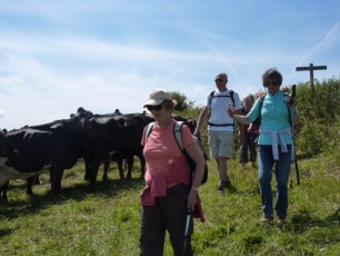 Aug 2015 - South Downs Cocking