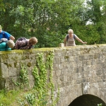 Petworth Park, River Lod - September 2014